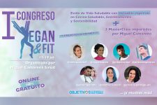 Cartel vengan and fit 02