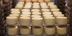 La producciÃ³n de queso lÃ¡cteo emite gran cantidad de carbono