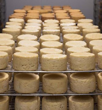 La producciÃ³n de queso lÃ¡cteo emite gran cantidad de carbono