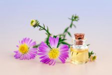 Perfumes y fragancias veganas - Consumir Vegano